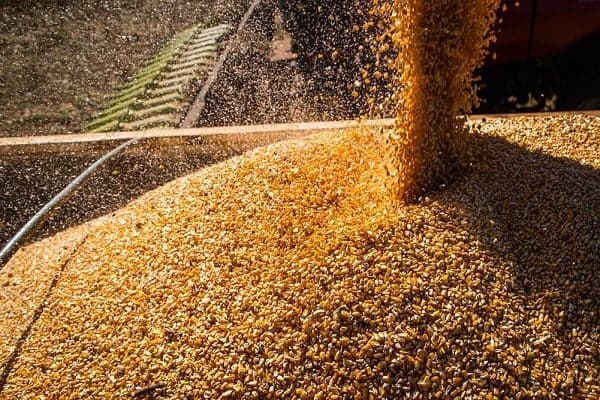 Produção agropecuária deve alcançar R$ 1,385 trilhão em 2026
