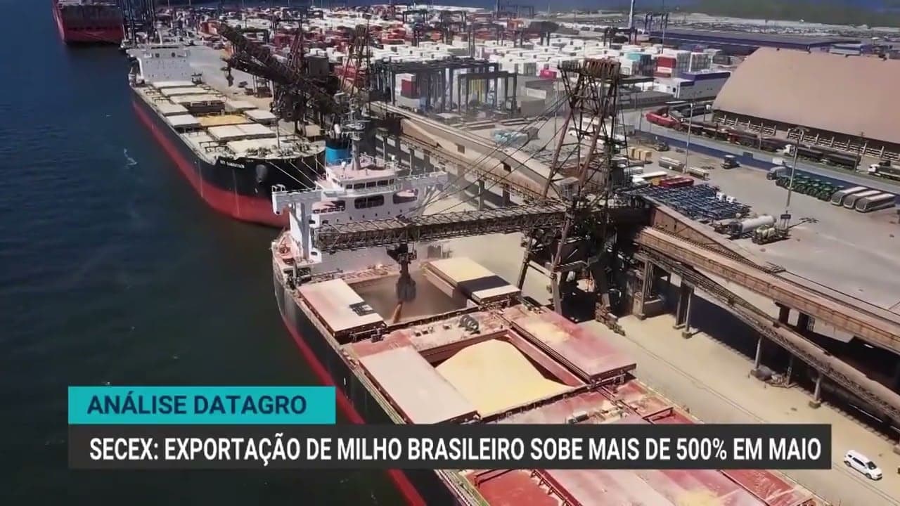 Exportações de milho brasileiro crescem 572% em maio de 2025