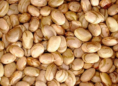 Feijão-carioca tem alta de 2,86% com demanda aquecida