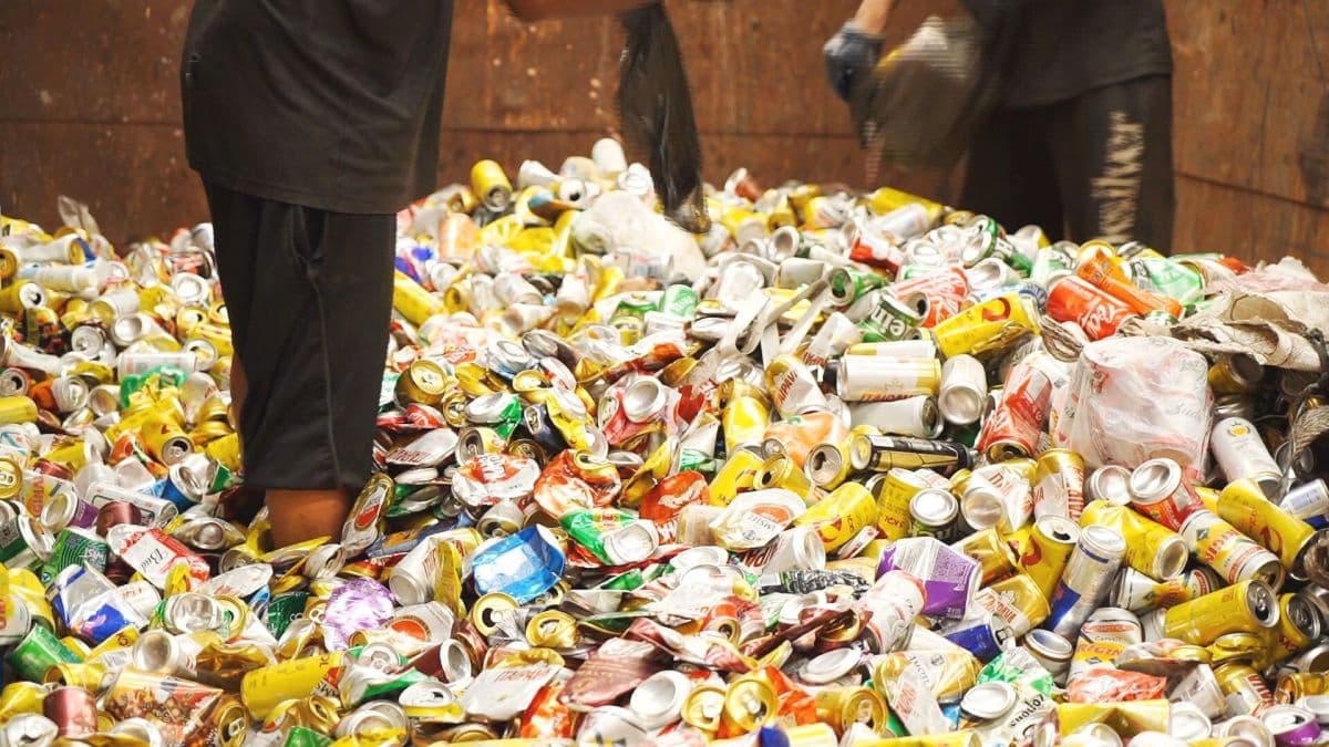 Projeto de lei promove incentivos fiscais à reciclagem até quarta