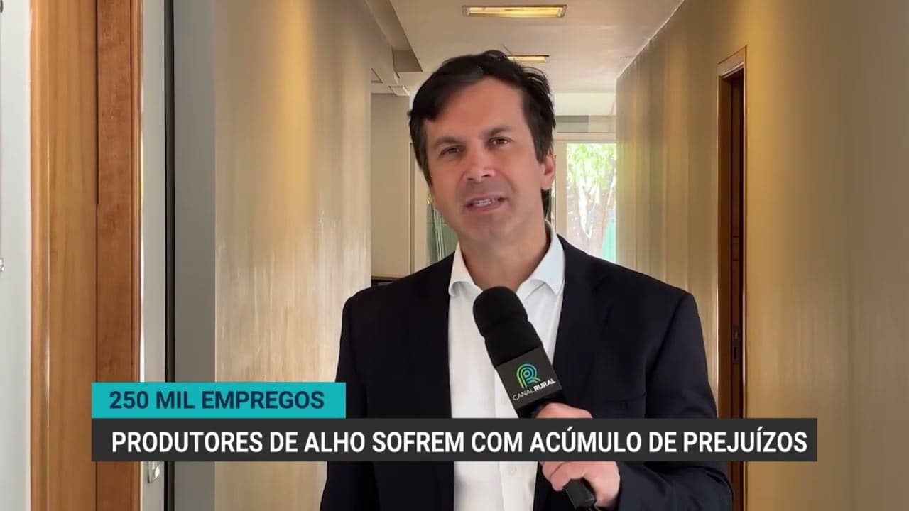 Produtores de alho enfrentam crise e arriscam 250 mil empregos