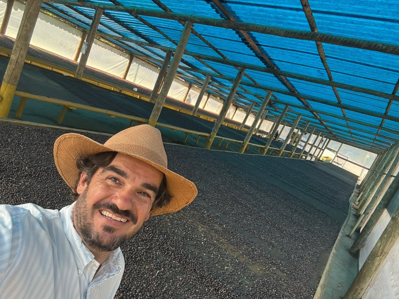 Café geisha de Luiz Paulo atinge preço recorde em leilão