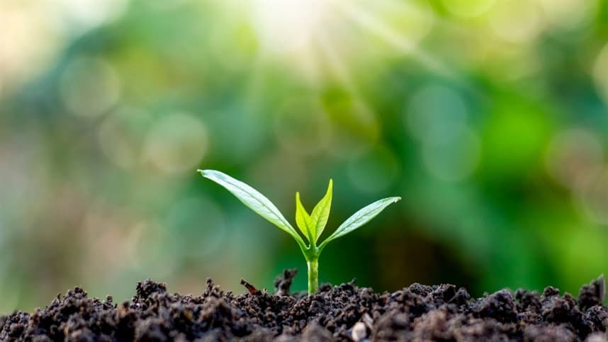 Importância do microbioma do solo na produção agrícola