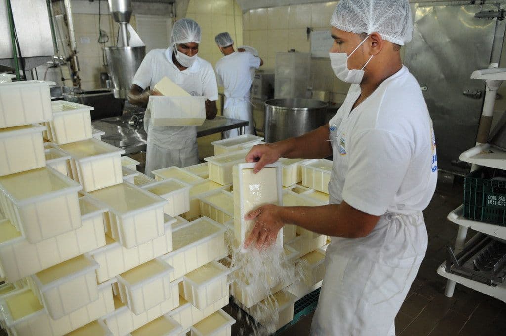 Estrutura de hedge melhora previsibilidade na cadeia de lácteos