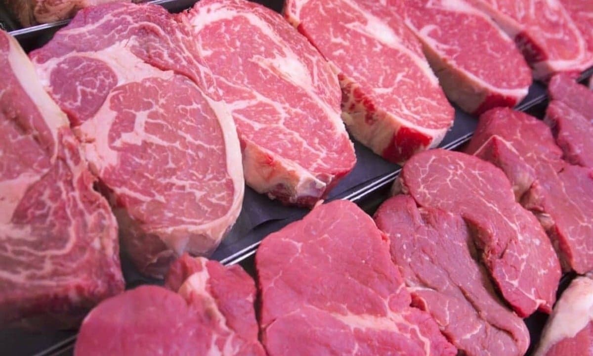 Brasil enfrenta embargo da UE à carne; governo critica decisão