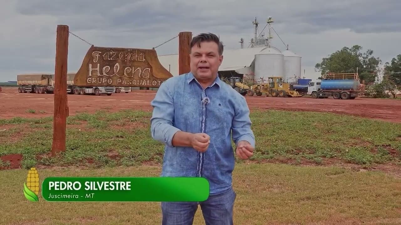 Família Pasqualotto destaca-se na produção de milho em Mato Grosso