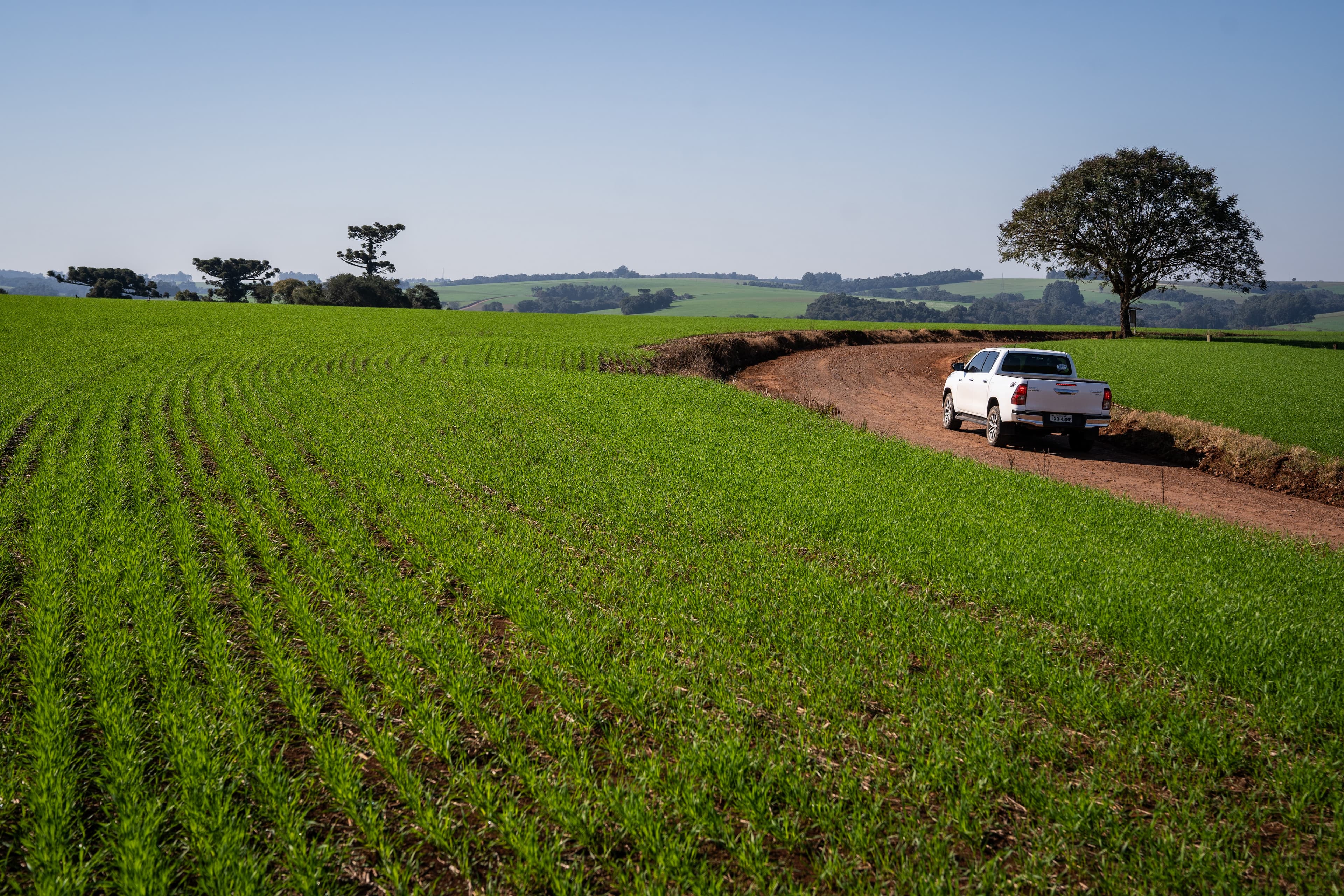 SRB pede ações para reduzir endividamento rural e facilitar empréstimos