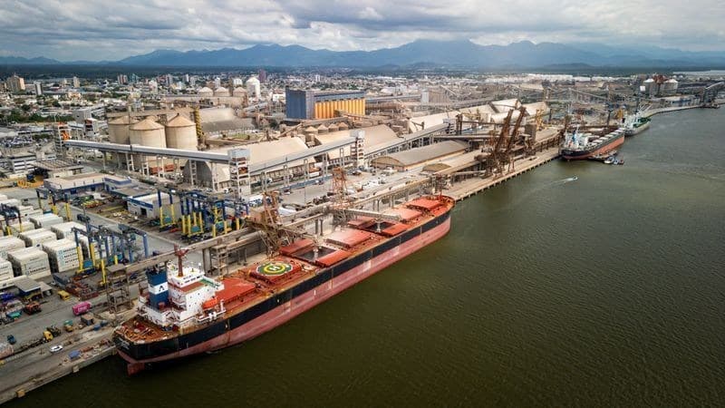Anec estima queda nas exportações de soja e milho em outubro