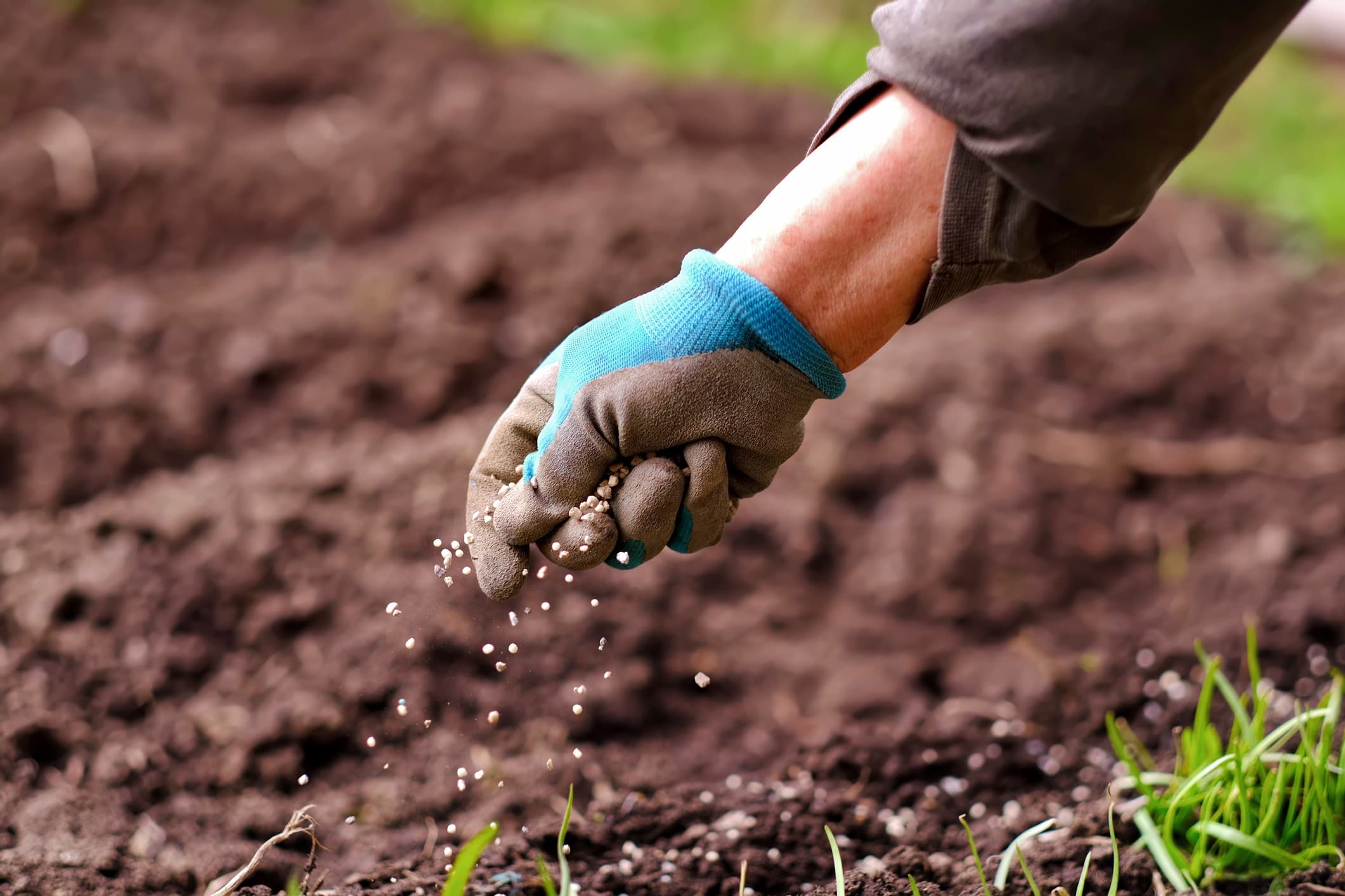 Brasil busca parcerias com Nigéria para fornecimento de fertilizantes
