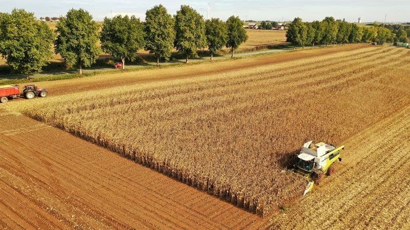 Produção agrícola do Brasil cresce 3,3% ao ano; União Europeia avança apenas 0,1%