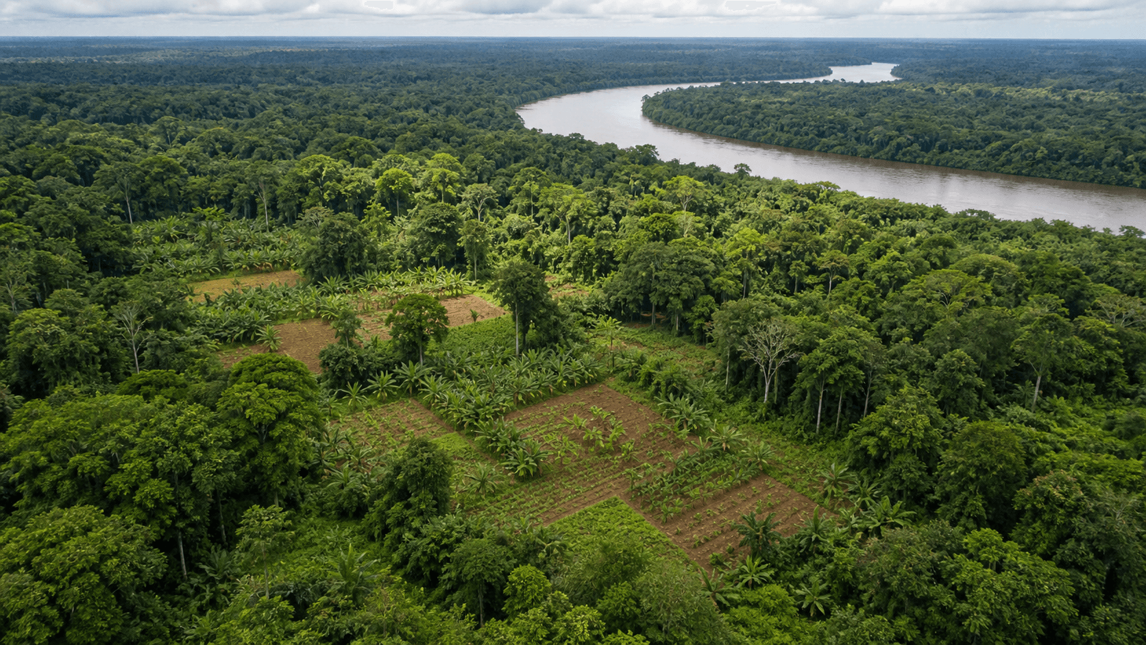 Fundo Amazônia investe R$ 34,6 milhões em projeto no Pará e MT