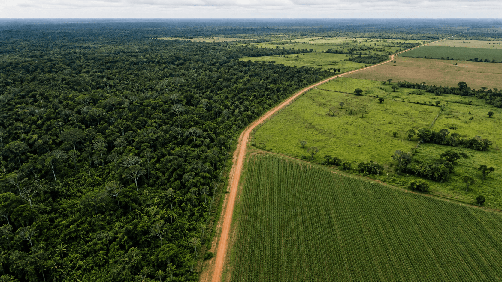 Emissões de CO2 do Brasil caem para menor nível desde 2012