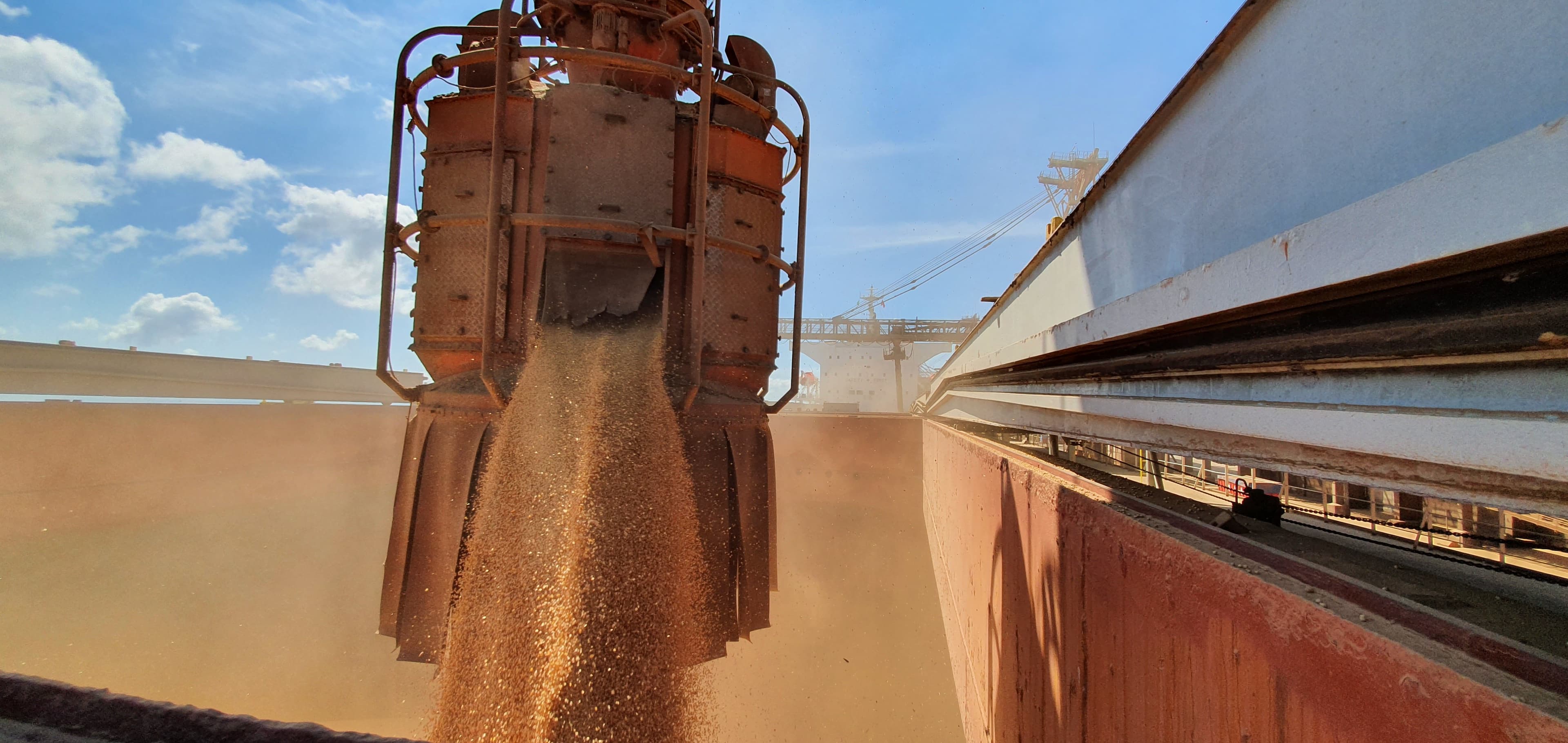 Mercado de soja brasileiro aguarda relatório do USDA e ajustes globais