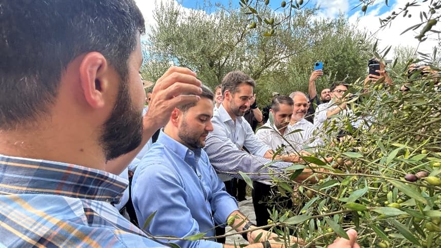 Produção de Azeite Extravirgem no Brasil Rumo a Marco Histórico