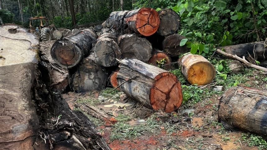 Sema-MT realiza operação contra crimes ambientais em Colniza