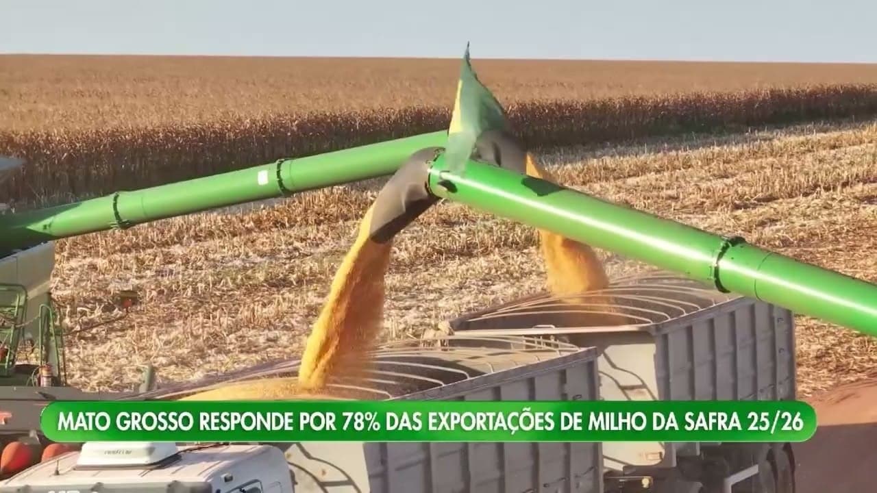 Exportações de milho em Mato Grosso crescem 1,5% na safra 2025/26