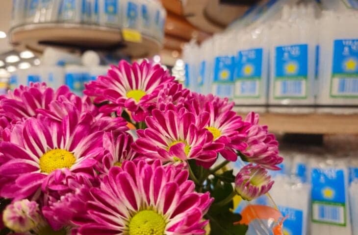 Pesquisa do Procon aponta altas de até 202% em produtos para Dia de Finados