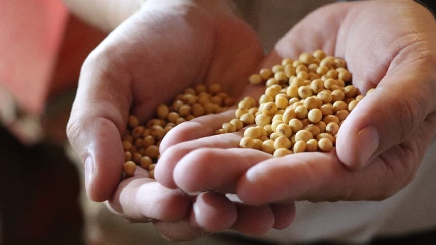 Mercado de commodities agrícolas vislumbra alívio com tensões em queda