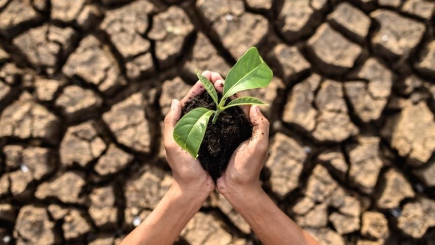 Resseguro é fundamental para estabilidade do agronegócio brasileiro