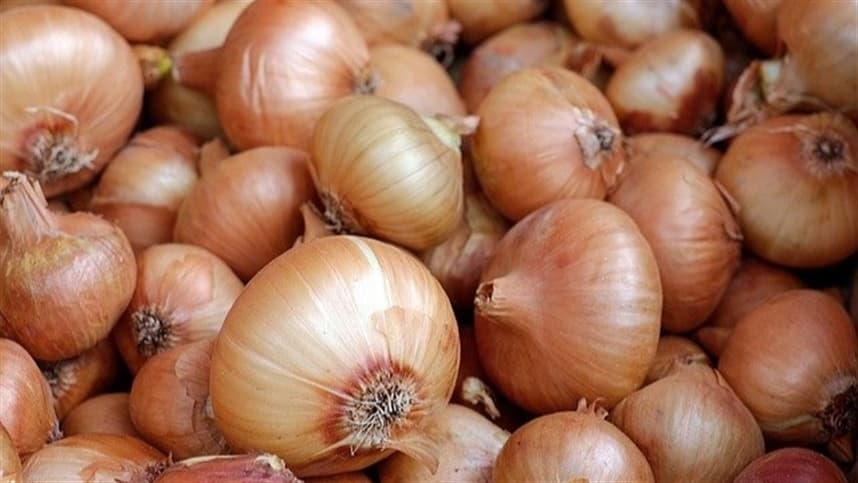 Aumento nas importações de cebola gera preocupação no Brasil