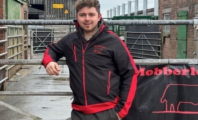 Jovem britânico inicia criação sustentável de gado de corte