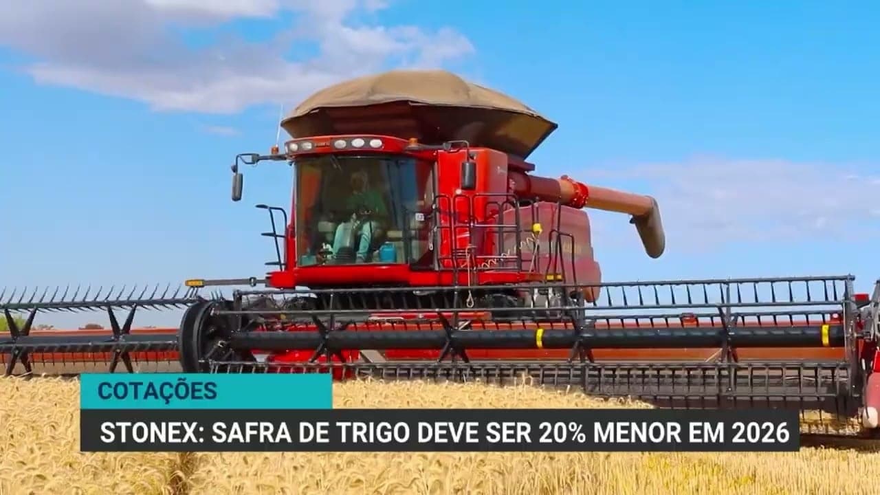 Produção de trigo no Brasil deve cair 20% em 2023