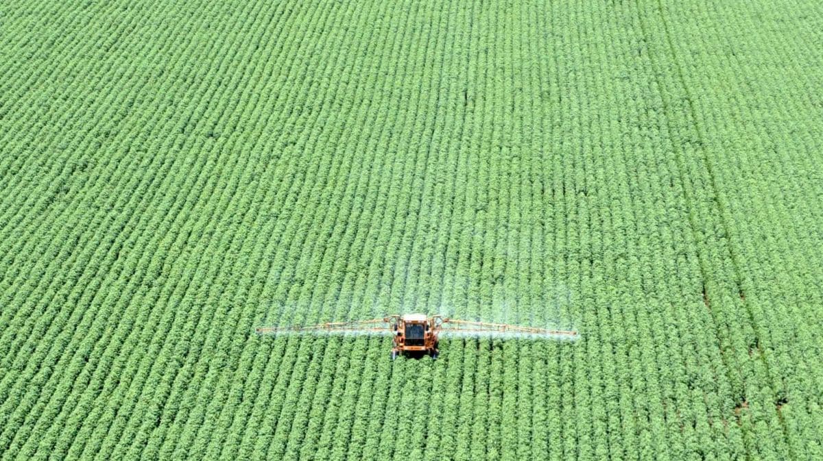 Indústria alimentícia recebe R$ 4,2 bilhões em socorro do governo