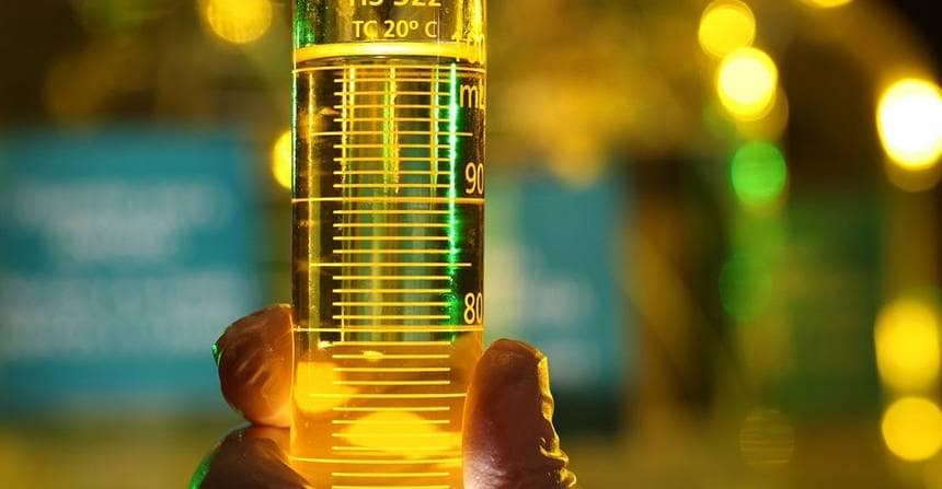 FPBio critica a decisão da ANP em relação ao biodiesel no Rio Grande do Sul.