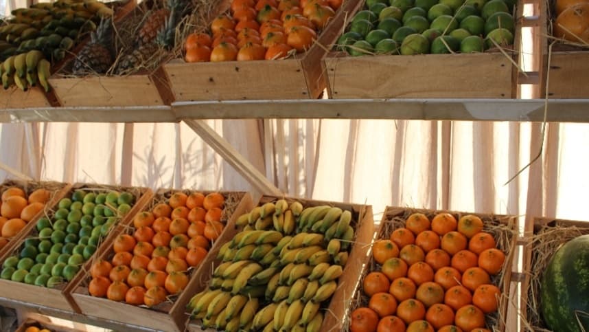 CJ Selecta lança bioativador para frutas no Brasil