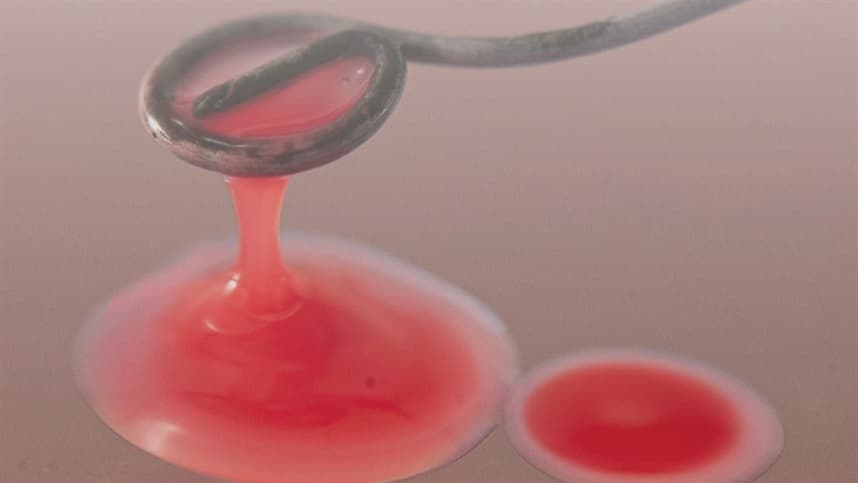 Embrapa Soja anuncia lançamento de manual sobre culturas microbianas