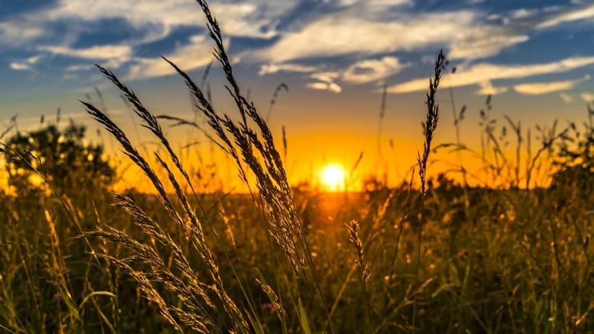 Desafios do agronegócio na adoção de práticas sustentáveis