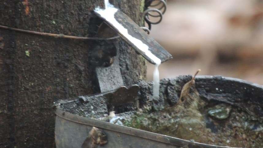 Preço da borracha natural sobe levemente em abril