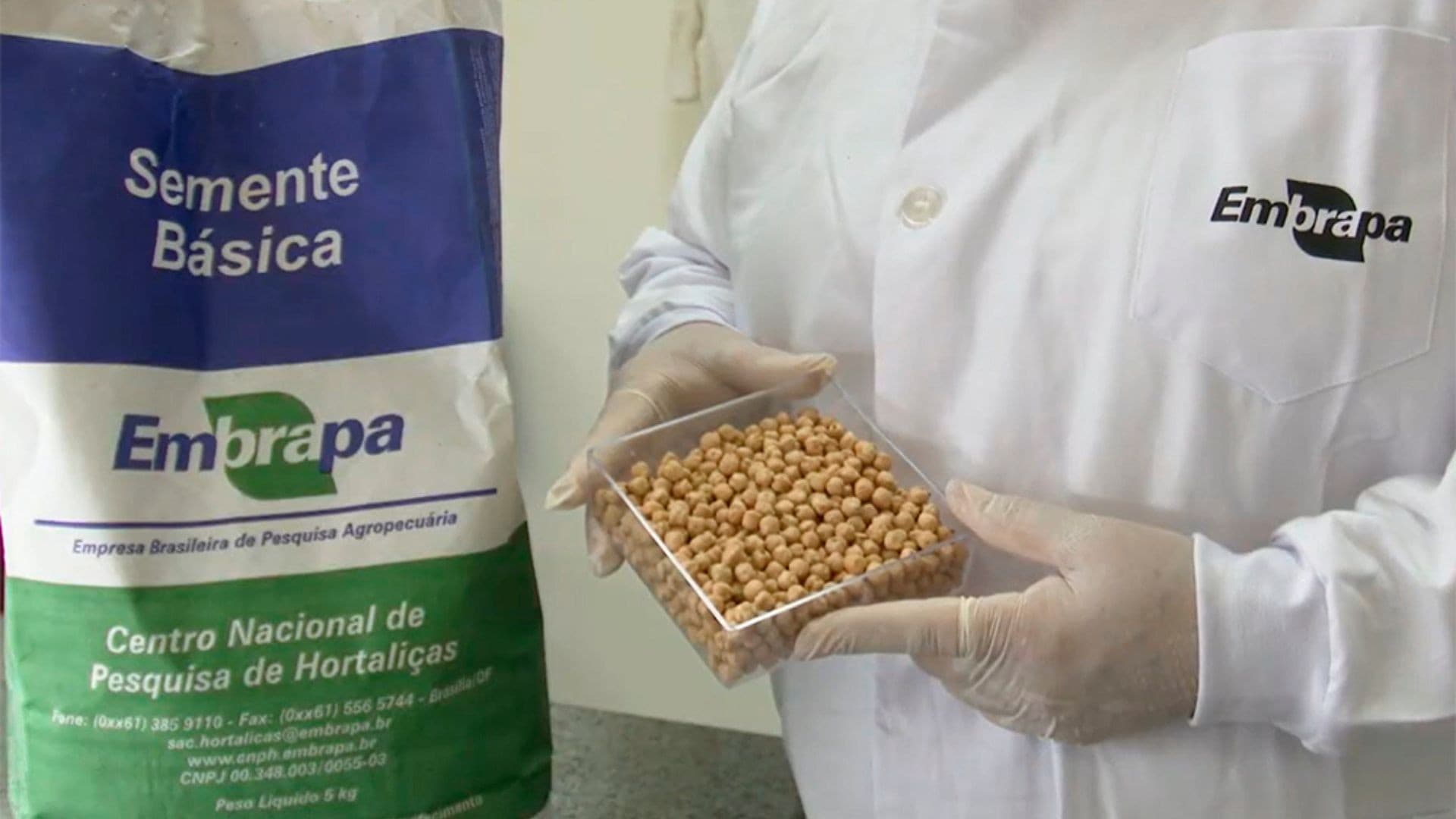 Rede Space Farming Brazil pesquisa alimentação para astronautas