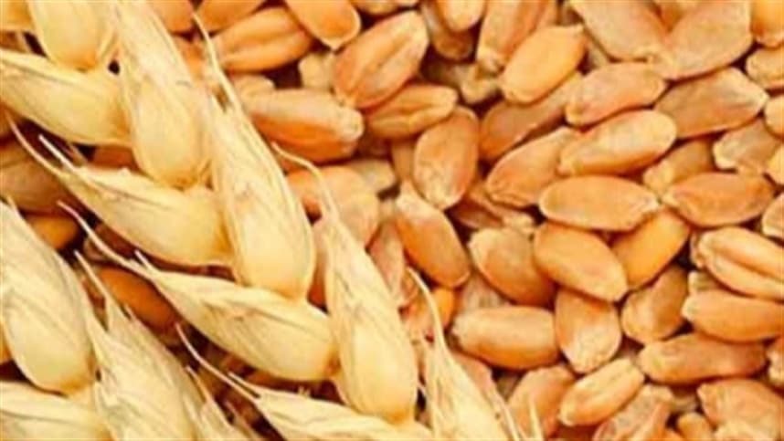 Cade aprova fusão entre gigantes do agronegócio