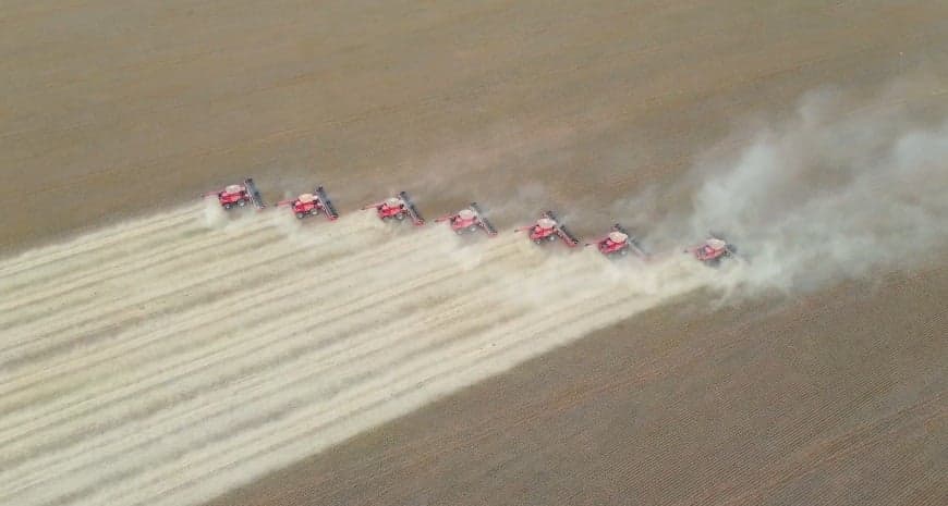 Colheita de soja no Brasil atinge 88,1%, mas desafios persistem