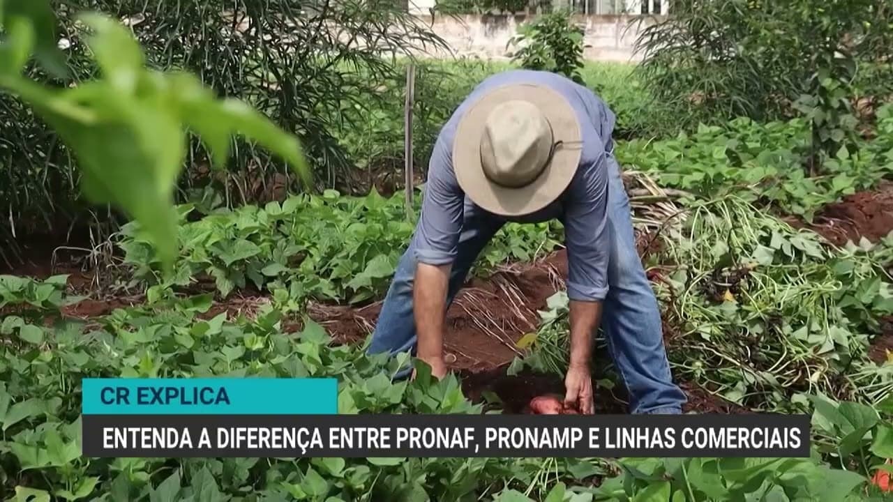 Crédito rural no Brasil: modalidades e condições para produtores