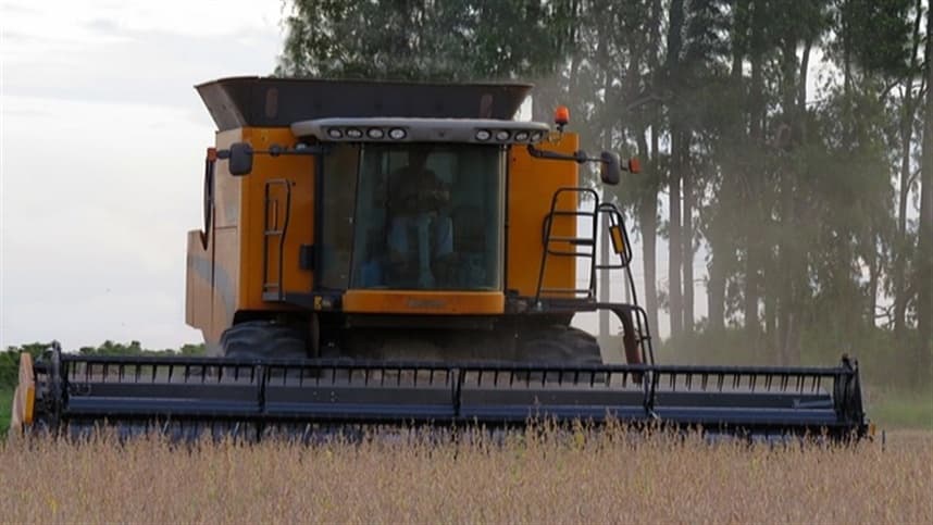 Soja continua em queda na bolsa de Chicago