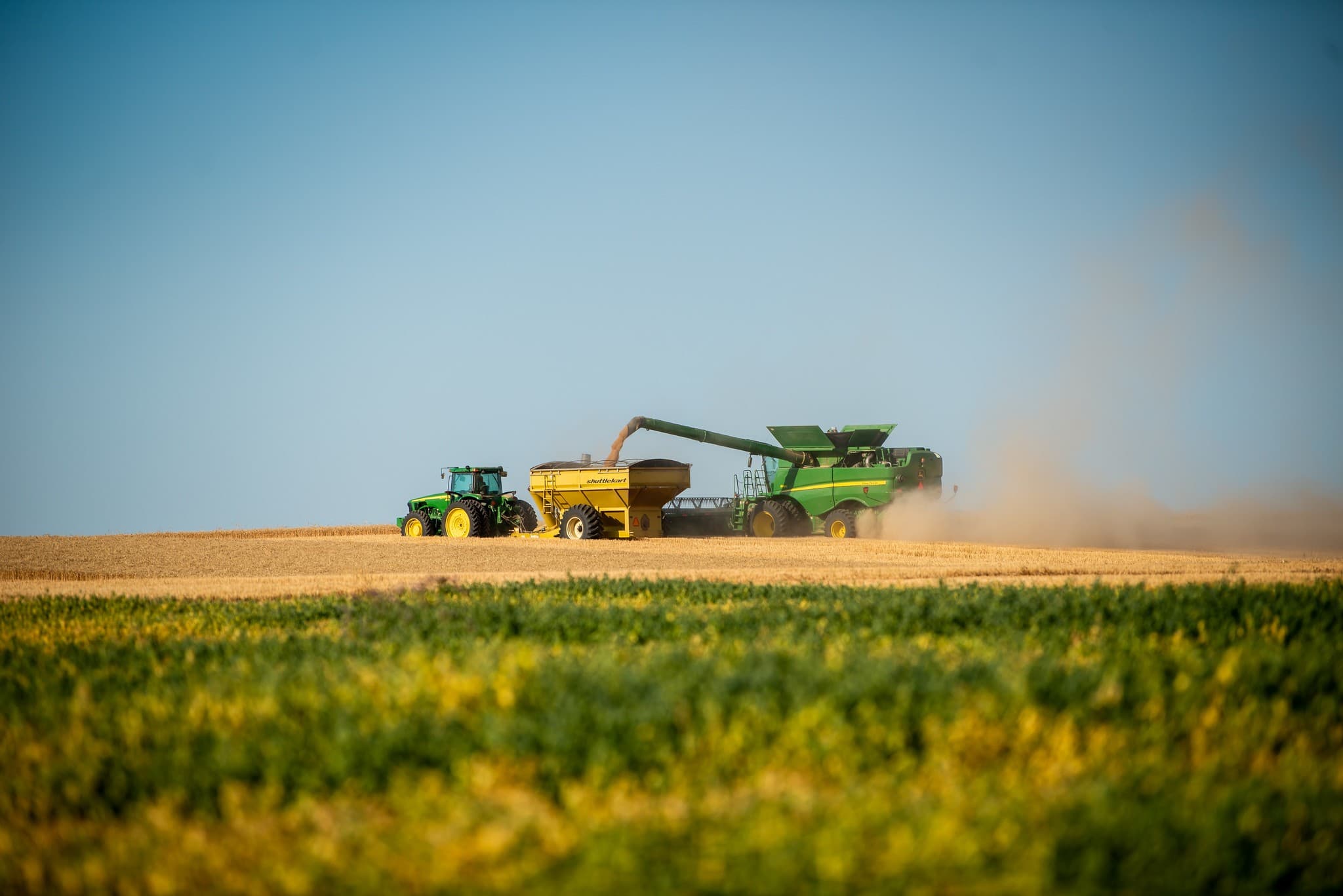 Trigo tem alta nos EUA com clima desfavorável e tensões geopolíticas
