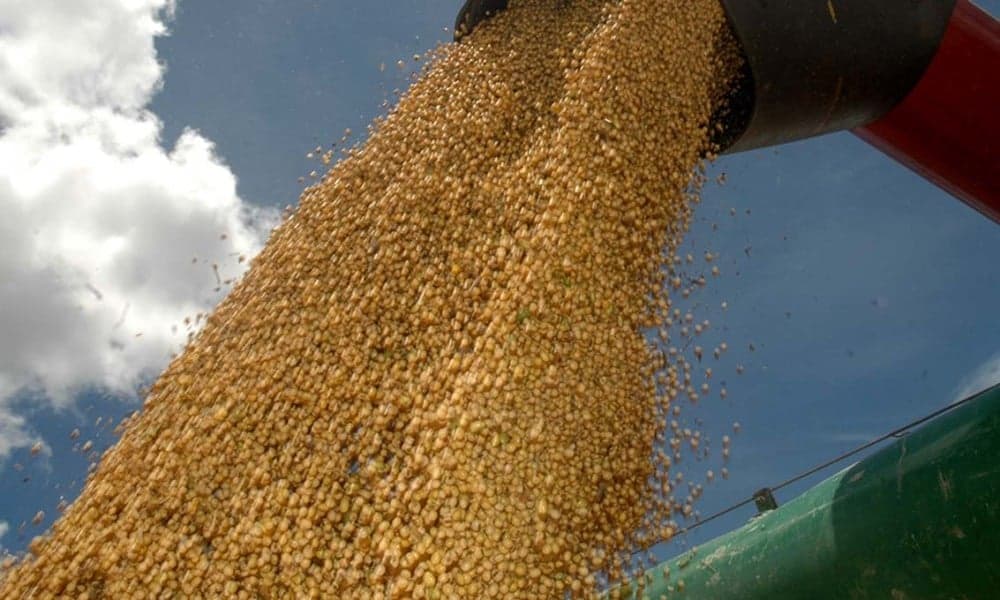 Intenção de semeadura de soja no RS recua 1,3% na safra 2026/27