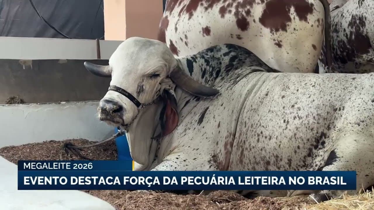 Mega Leite destaca Minas Gerais como líder em pecuária leiteira