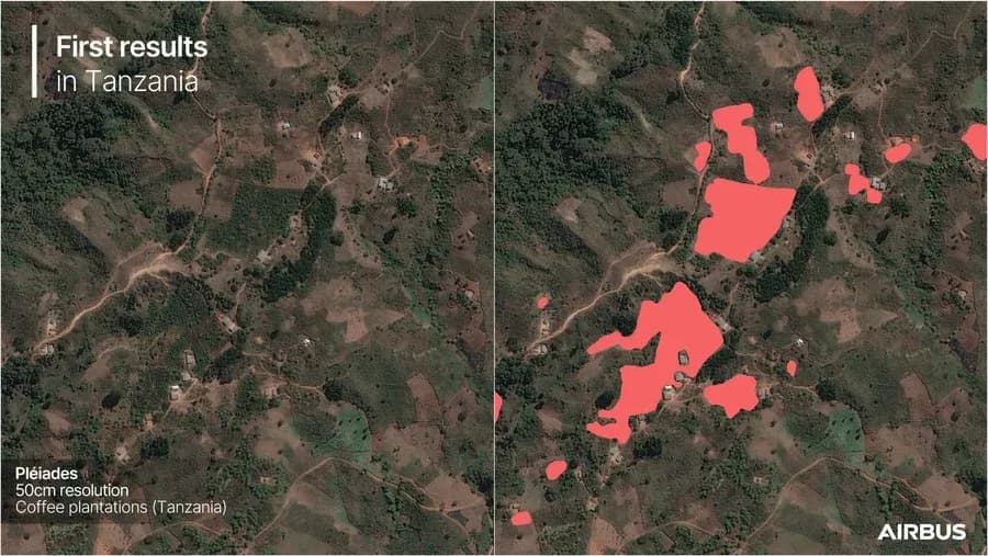 Airbus deve mapear plantações de café globalmente até 2027