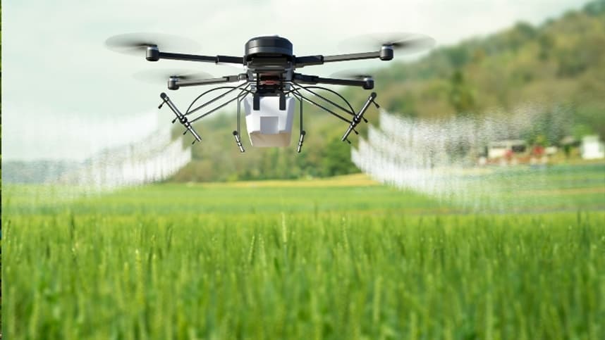 Os perigos do contrabando de agrotóxicos no Brasil: entenda os riscos envolvidos