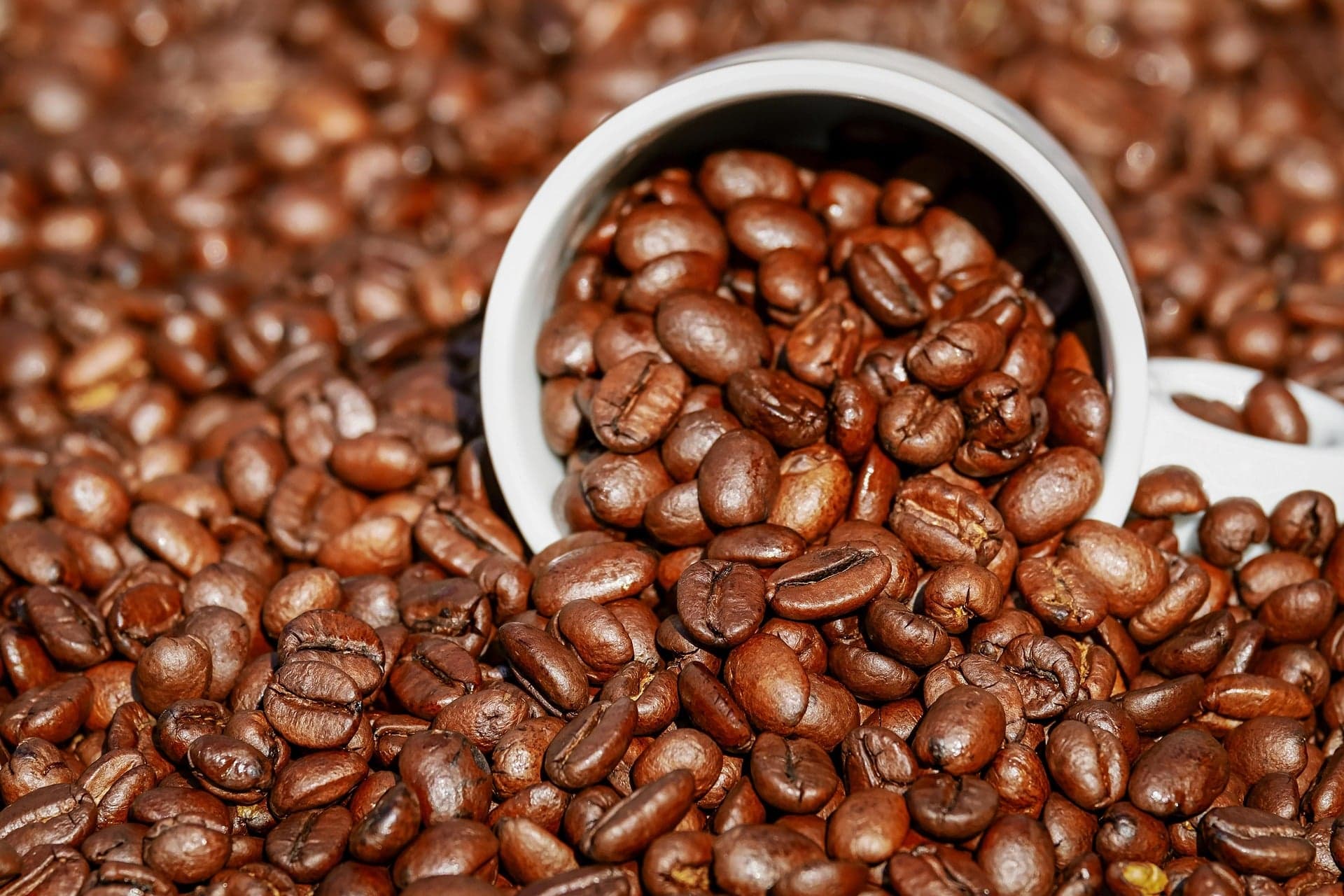Colheita de café no Brasil pressiona preços para baixo
