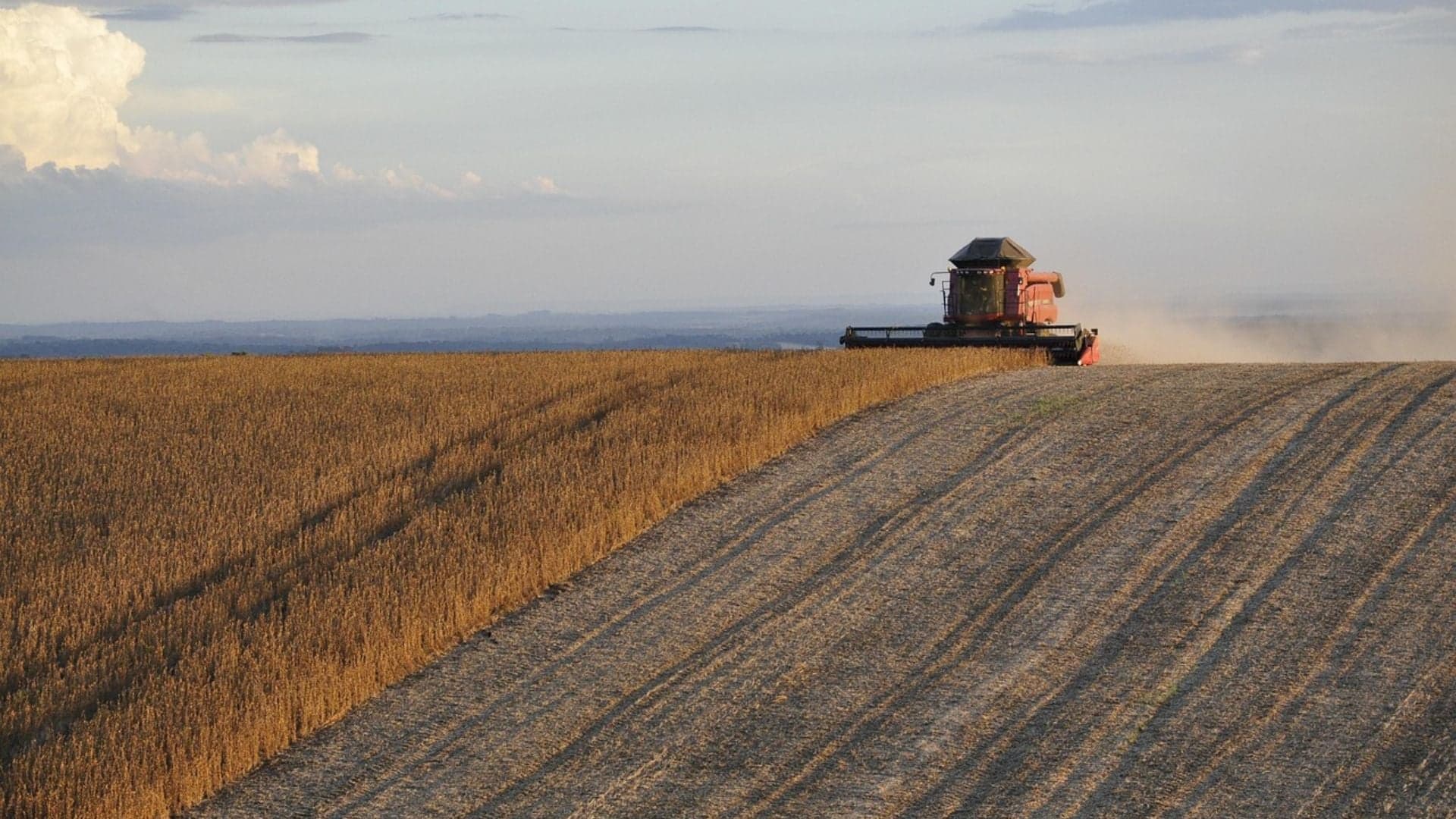 Futuro do agro brasileiro depende de união entre governo e privado