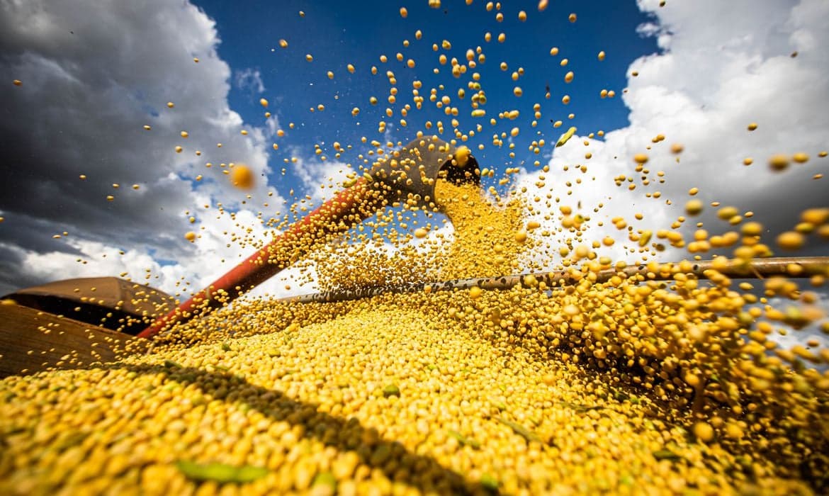 Brasil se destaca como maior exportador de soja mundial