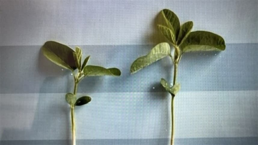 Tecnologia de 2022: menos fertilizante, menos defensivo e mais produtividade para o produtor rural