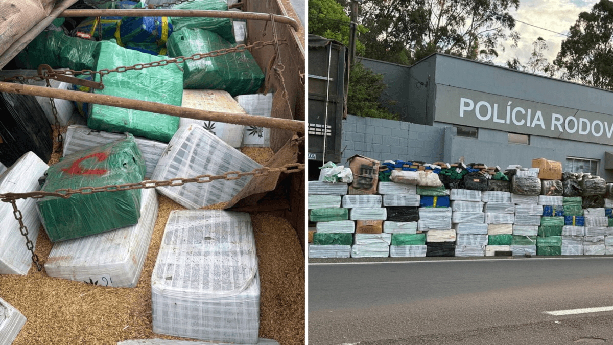 Polícia prende homem com 3 toneladas de maconha em São Paulo