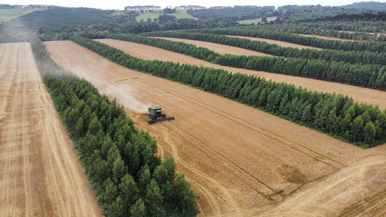 Ministério da Agricultura anuncia data do Plano Safra 2026/27