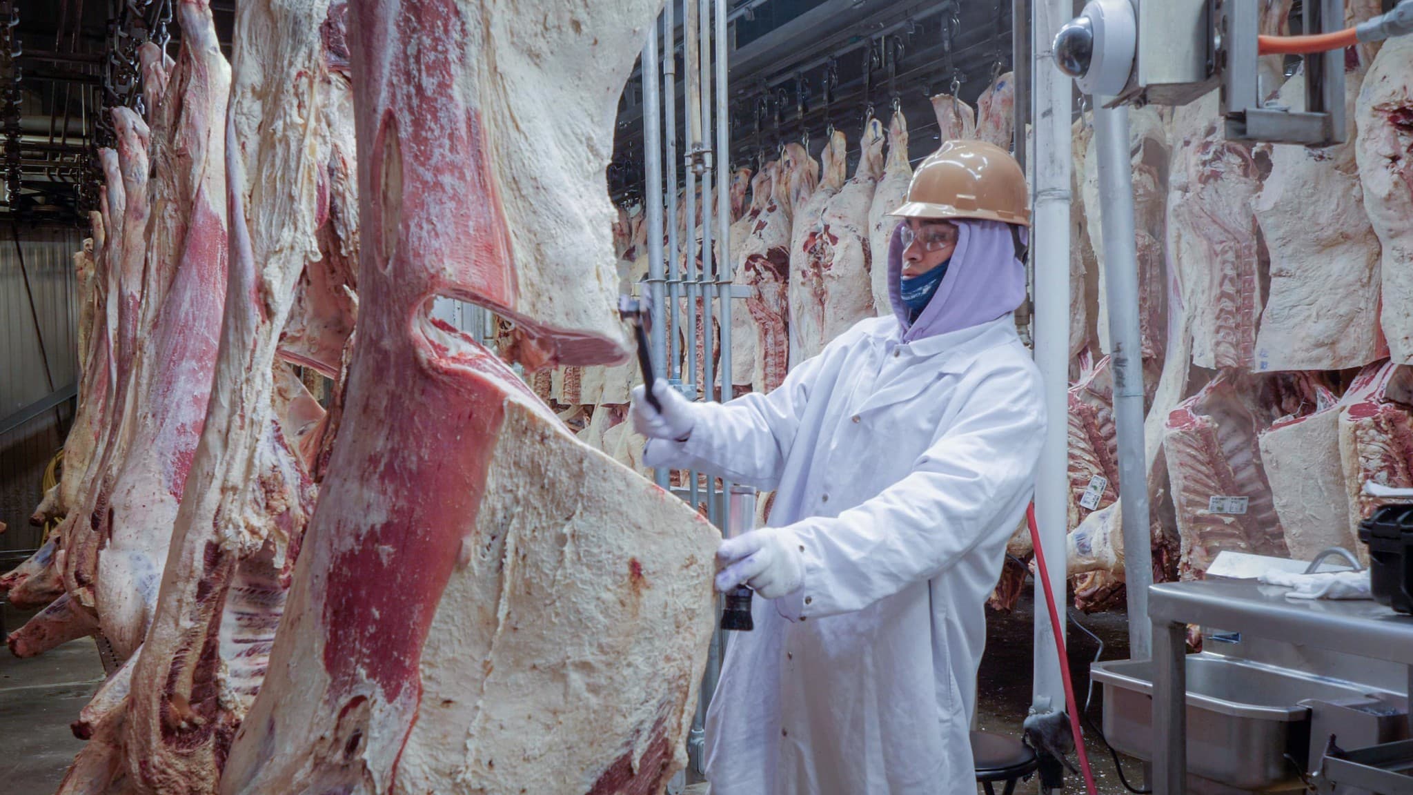 Licenças de exportação de carne bovina dos EUA para China atrasadas