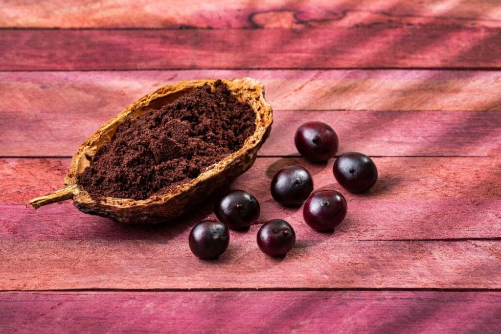 Minirrede Solar Revitaliza Unidade de Processamento de Açaí na Amazônia